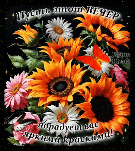 Открытка «Добрый вечер и пожелания»: Добрый вечер: Яркий букет подсолнухов для настроения. Тэги: Доброго вечера и хор…