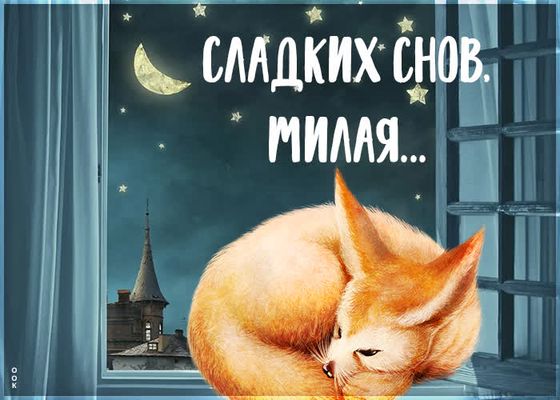 Открытка «Доброй ночи»: Спокойной ночи: «Спящий лисенок» на окне. Тэги: Спокойной ночи, Спокойной ночи, с пожеланиями…