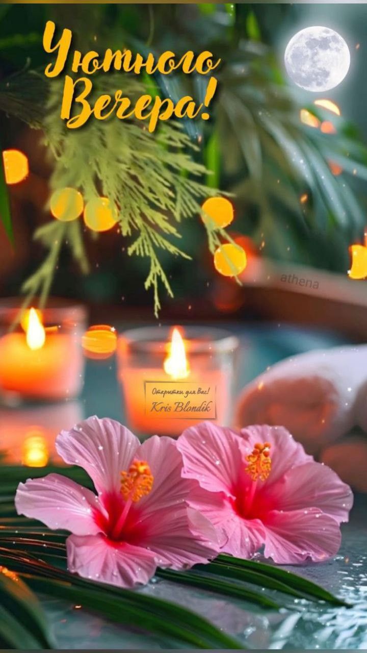 Открытка «Добрый вечер и пожелания»: Добрый вечер: Уютного вечера с цветами и свечами. Тэги: Добрый вечер красивые…