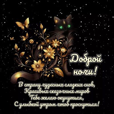 Открытка «Доброй ночи»: Спокойной ночи: «Черный кот в цветах» и доброе пожелание. Тэги: Спокойной ночи, Спокойной ночи…