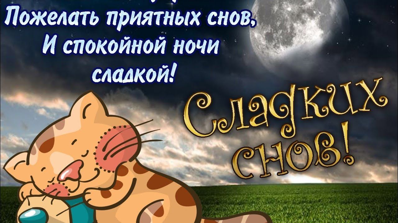 Открытка «Доброй ночи»: Спокойной ночи: «Сладких снов» с милым котиком. Тэги: Спокойной ночи, пожелание, настроение…