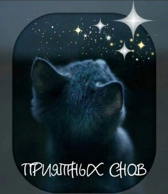 Открытка «Доброй ночи»: Доброй ночи: милый котенок и звездное небо. Тэги: Спокойной ночи, Спокойной ночи, с пожелания…