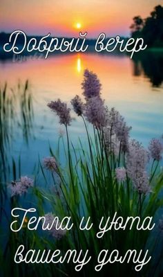 Открытка «Добрый вечер и пожелания»: Добрый вечер: «Тепла и уюта вашему дому». Тэги: Добрый вечер красивые, Доброго в…