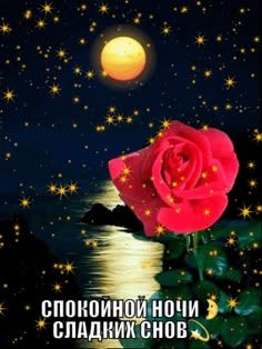 Открытка «Доброй ночи»: Спокойной ночи и сладких снов: красная роза под луной. Тэги: Спокойной ночи, Спокойной ночи…