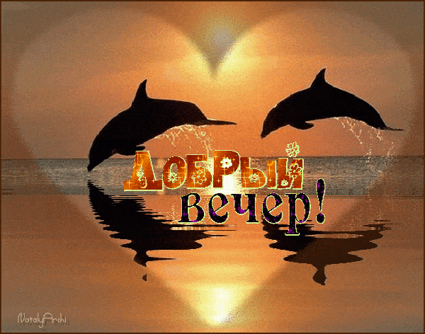 Открытка «Добрый вечер и пожелания»: Добрый вечер: дельфины в лучах закатного солнца. Тэги: Добрый вечер красивые…