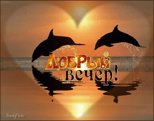 Открытка «Добрый вечер и пожелания»: Добрый вечер: дельфины в лучах закатного солнца. Тэги: Добрый вечер красивые…