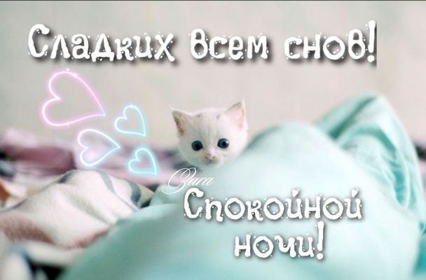Открытка «Доброй ночи»: Спокойной ночи: милый котенок и пожелание сладких снов. Тэги: Спокойной ночи, пожелание…