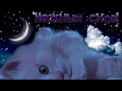 Открытка «Доброй ночи»: Спокойной ночи: «Милый котенок» и звездное небо.