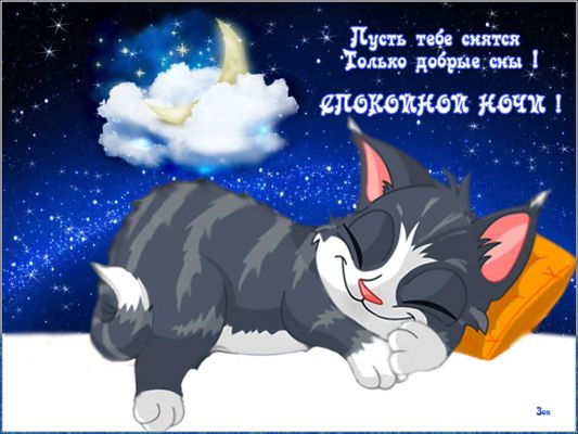 Открытка «Доброй ночи»: Доброй ночи: милый котик и пожелание добрых снов. Тэги: Спокойной ночи, Спокойной ночи…
