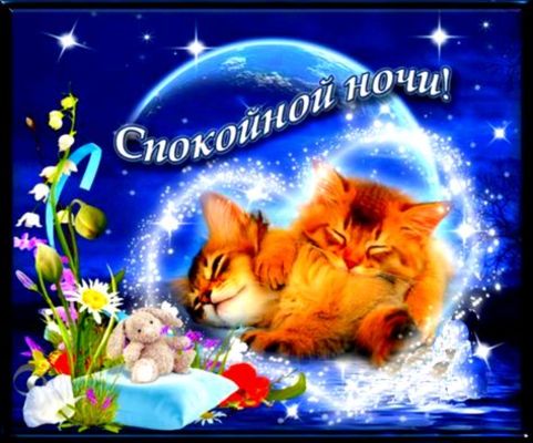Открытка «Доброй ночи»: Спокойной ночи: «Спящие котята» и нежное пожелание. Тэги: Спокойной ночи, Спокойной ночи…