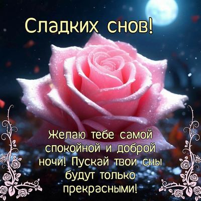 Открытка «Доброй ночи»: Доброй ночи: «Розовая роза под луной». Тэги: Спокойной ночи, Спокойной ночи, красивые, Спокой…