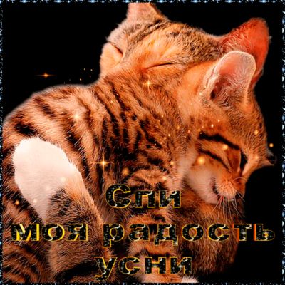 Открытка «Доброй ночи»: Спокойной ночи: ласковые котики и теплое пожелание. Тэги: Спокойной ночи, Спокойной ночи…