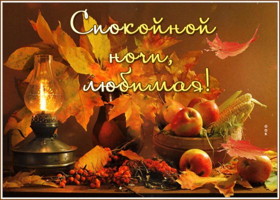 Открытка «Доброй ночи»: Спокойной ночи, любимая: осенний натюрморт с лампой. Тэги: Спокойной ночи, любимая женщина…