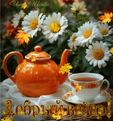 Открытка «Добрый вечер и пожелания»: Добрый вечер: чай с ромашками и осенним настроением. Тэги: Доброго вечера и хоро…