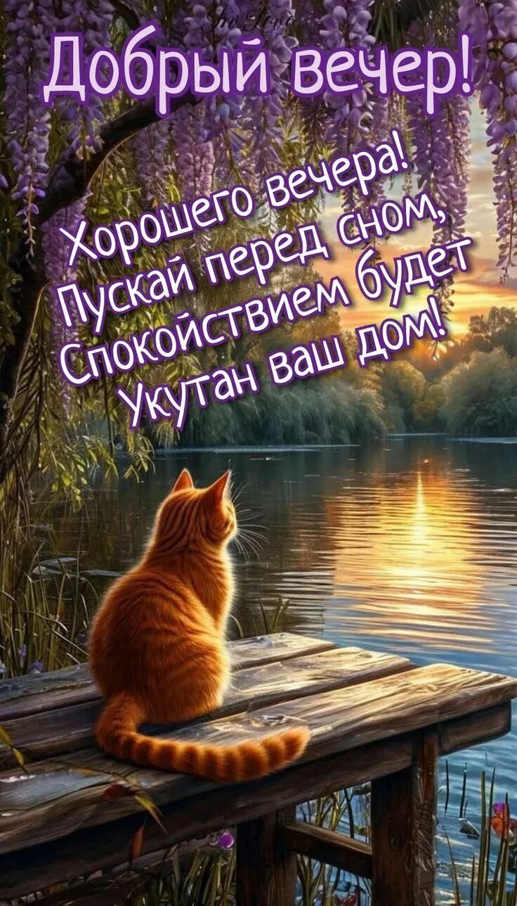 Открытка «Добрый вечер и пожелания»: Добрый вечер! Красивое пожелание и рыжий кот у реки. Тэги: Доброго вечера и хоро…