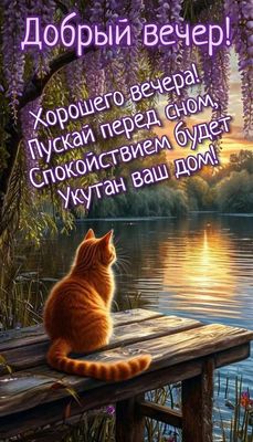 Открытка «Добрый вечер и пожелания»: Добрый вечер! Красивое пожелание и рыжий кот у реки. Тэги: Доброго вечера и хоро…