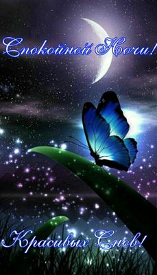 Открытка «Доброй ночи»: Спокойной ночи: Волшебная бабочка и сияние луны.