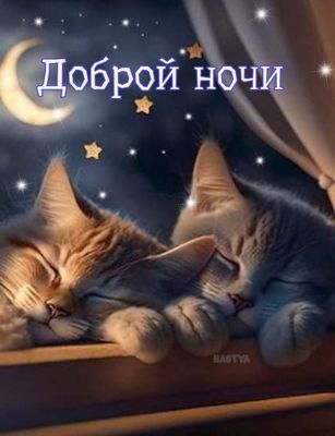 Открытка «Доброй ночи»: Спокойной ночи: открытка с милыми спящими котятами. Тэги: Спокойной ночи, Спокойной ночи…