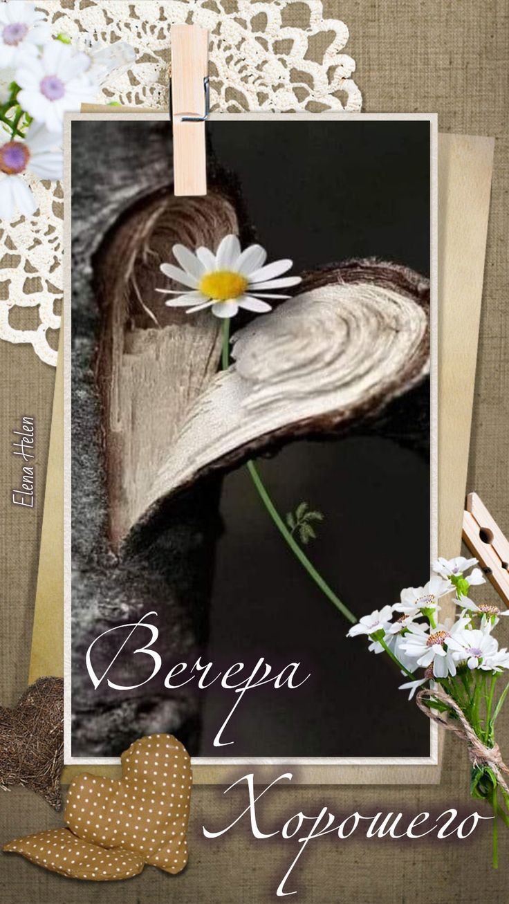 Открытка «Необычный добрый вечер»: Добрый вечер: Хорошего отдыха и душевного тепла. Тэги: Доброго вечера и хорошего н…