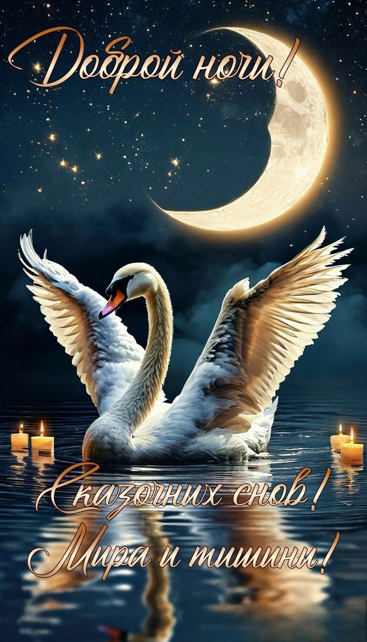Открытка «Доброй ночи»: Доброй ночи: Лебедь под луной и сказочные сны. Тэги: Спокойной ночи, Спокойной ночи, красивые…