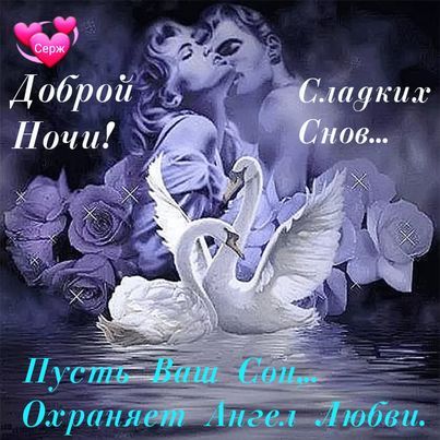 Открытка «Доброй ночи»: Доброй ночи: «Ангел любви» и пара лебедей. Тэги: Спокойной ночи, Спокойной ночи, красивые…
