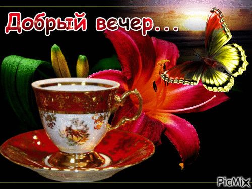 Открытка «Добрый вечер и пожелания»: Добрый вечер: чашка чая и лилия для настроения. Тэги: Доброго вечера и хорошего…