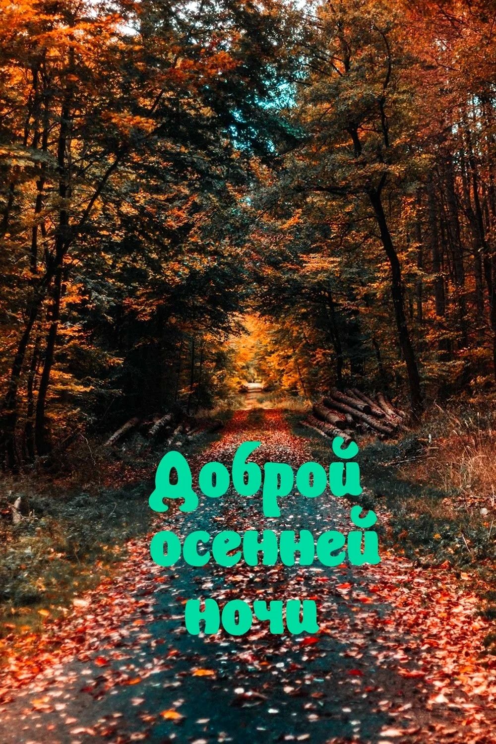 Открытка «Доброй ночи»: Доброй ночи: «Осенняя аллея» в золотом лесу. Тэги: Спокойной ночи, Спокойной ночи, красивые…