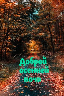 Открытка «Доброй ночи»: Доброй ночи: «Осенняя аллея» в золотом лесу. Тэги: Спокойной ночи, Спокойной ночи, красивые…