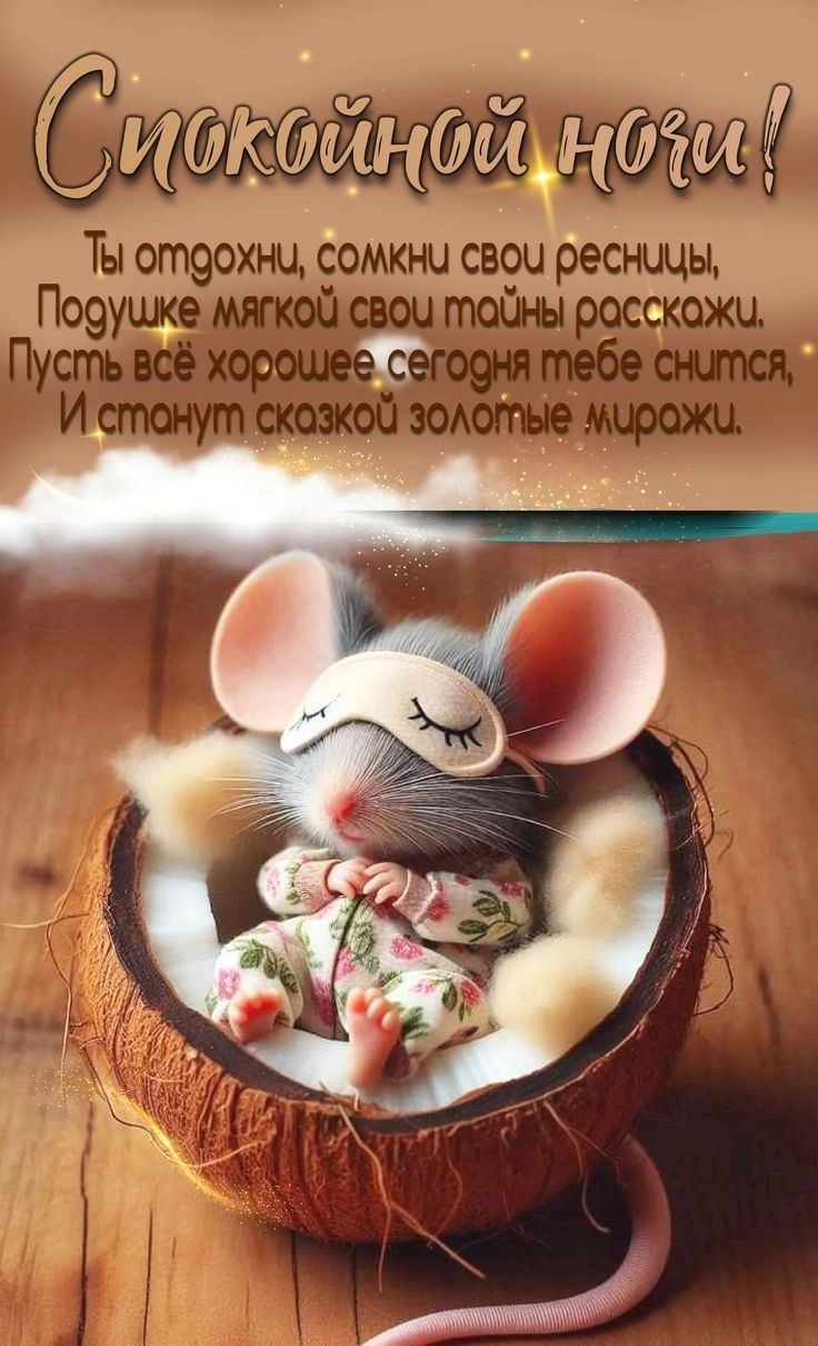 Открытка «Доброй ночи»: Спокойной ночи: милая мышка в кокосе и доброе пожелание. Тэги: Спокойной ночи, Спокойной ночи…