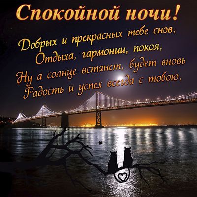Открытка «Доброй ночи»: Доброй ночи: открытка с котами у ночного моста. Тэги: Спокойной ночи, Спокойной ночи, красивые…
