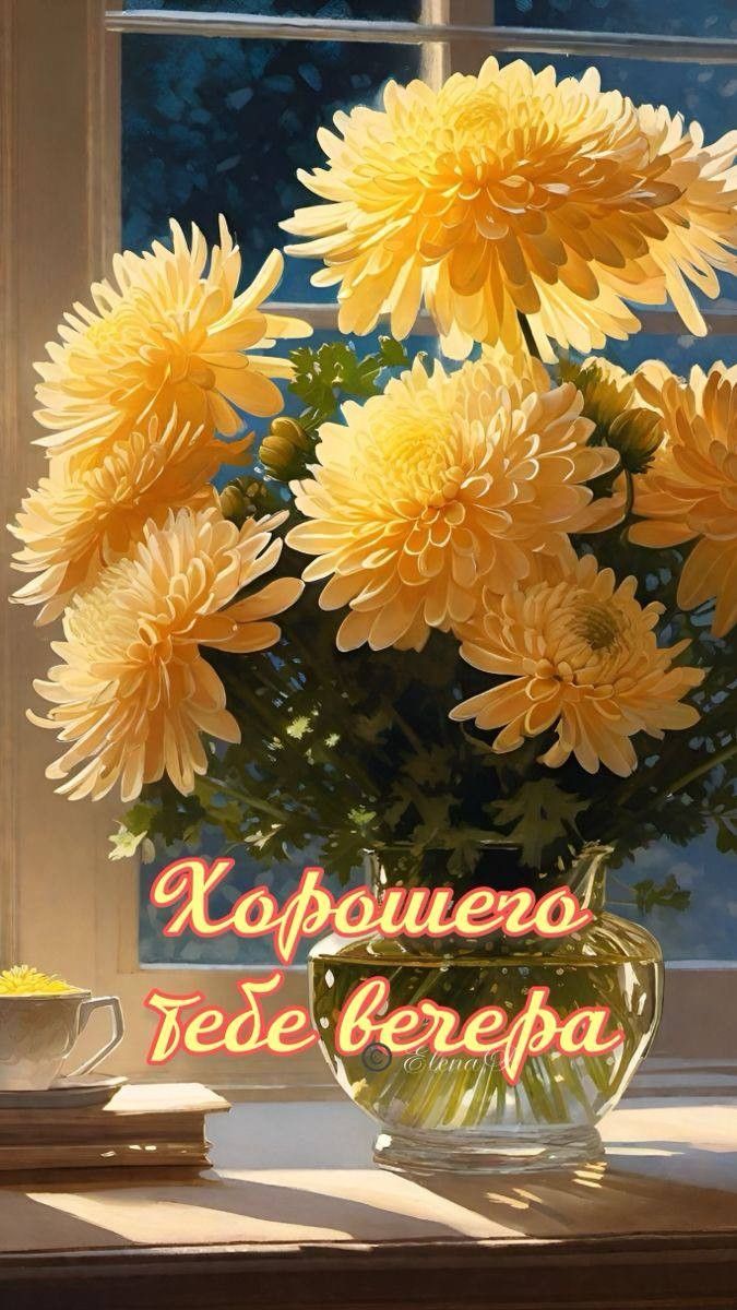 Открытка «Добрый вечер и пожелания»: Добрый вечер: пышный букет хризантем у окна. Тэги: Добрый вечер женщине, Добрый…