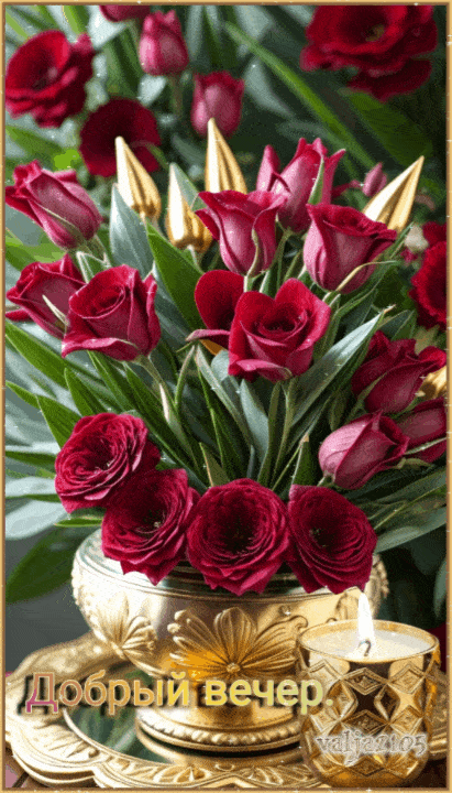 Открытка «Добрый вечер и пожелания»: Добрый вечер: Красивый букет роз для настроения. Тэги: Добрый вечер женщине…