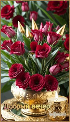 Открытка «Добрый вечер и пожелания»: Добрый вечер: Красивый букет роз для настроения. Тэги: Добрый вечер женщине…
