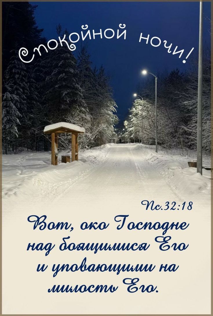 Открытка «Доброй ночи»: Спокойной ночи: христианское пожелание и зимний лес. Тэги: Спокойной ночи, христианский…