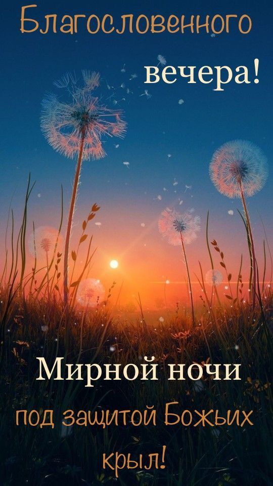 Открытка «Доброй ночи»: Добрый вечер и мирной ночи: открытка с одуванчиками. Тэги: Спокойной ночи, проза, христианский…