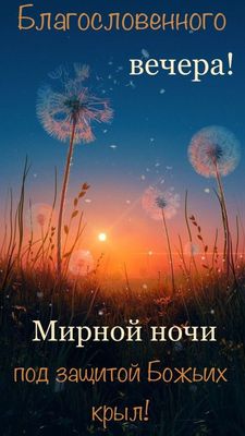 Открытка «Доброй ночи»: Добрый вечер и мирной ночи: открытка с одуванчиками. Тэги: Спокойной ночи, проза, христианский…