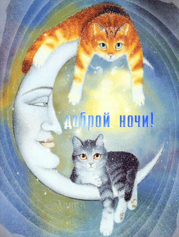 Открытка «Доброй ночи»: Спокойной и доброй ночи: забавные коты на месяце. Тэги: Спокойной ночи, Спокойной ночи…
