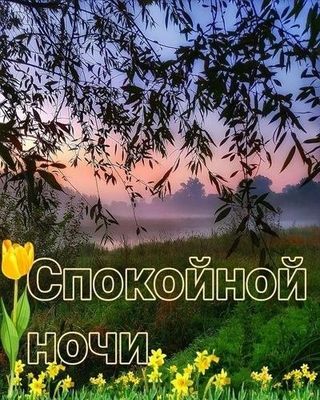Открытка «Доброй ночи»: Спокойной ночи: красивое пожелание и нежный закат. Тэги: Спокойной ночи, Спокойной ночи…