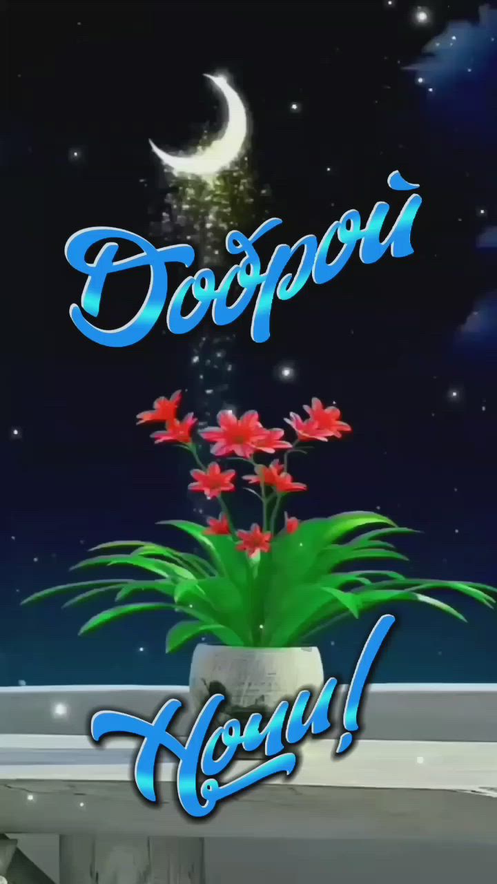 Открытка «Доброй ночи»: Спокойной и доброй ночи: «Цветок под луной».