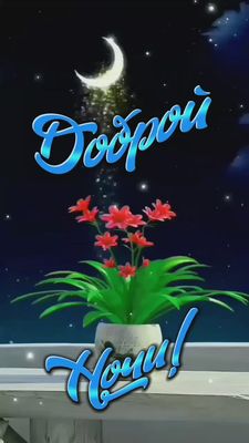 Открытка «Доброй ночи»: Спокойной и доброй ночи: «Цветок под луной».