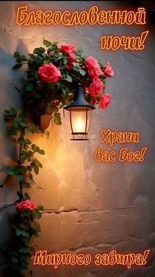 Открытка «Доброй ночи»: Доброй ночи: красивые розы и фонарь. Тэги: Спокойной ночи, христианский, Спокойной ночи…