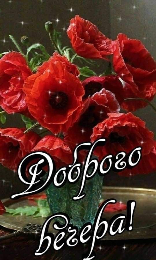 Открытка «Добрый вечер и пожелания»: Добрый вечер: красные маки и уютная атмосфера. Тэги: Добрый вечер женщине…