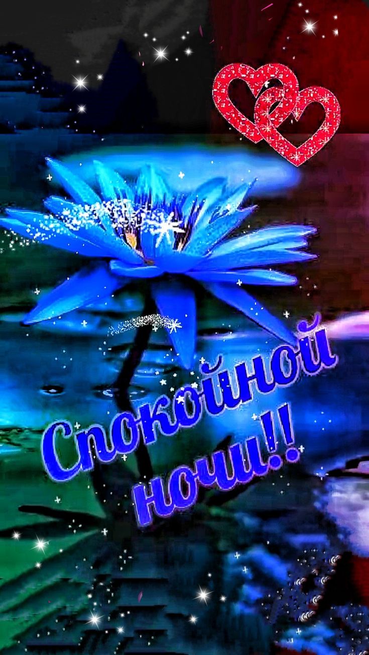 Открытка «Доброй ночи»: Доброй ночи: «Синий лотос и два сердца» на воде. Тэги: Спокойной ночи, Спокойной ночи, красив…