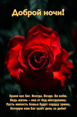 Открытка «Доброй ночи»: Христианское пожелание доброй ночи с алой розой. Тэги: Спокойной ночи, христианский, Спокойно…