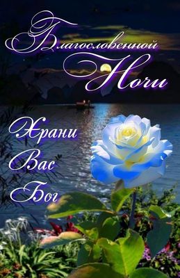 Открытка «Доброй ночи»: Доброй ночи: Христианское пожелание с голубой розой. Тэги: Спокойной ночи, христианский…