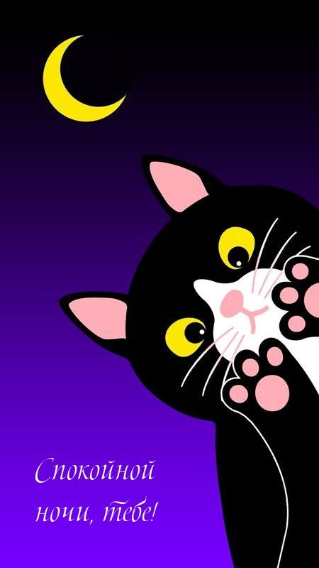 Открытка «Доброй ночи»: Спокойной ночи: прикольный черный кот под луной. Тэги: Спокойной ночи, Спокойной ночи, с поже…