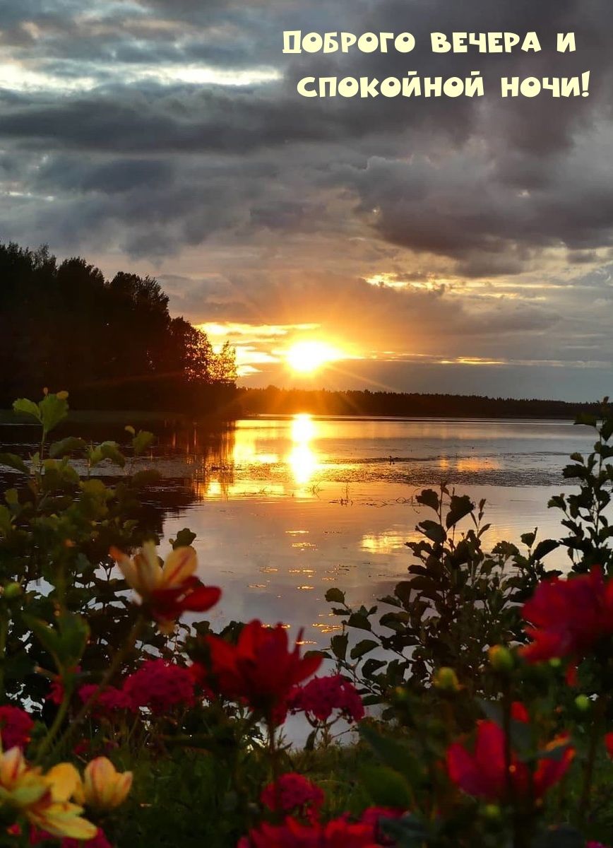 Открытка «Спокойной ночи»: Добрый вечер и спокойной ночи: закат у озера. Тэги: Добрый вечер и пожелания, Добрый вечер…