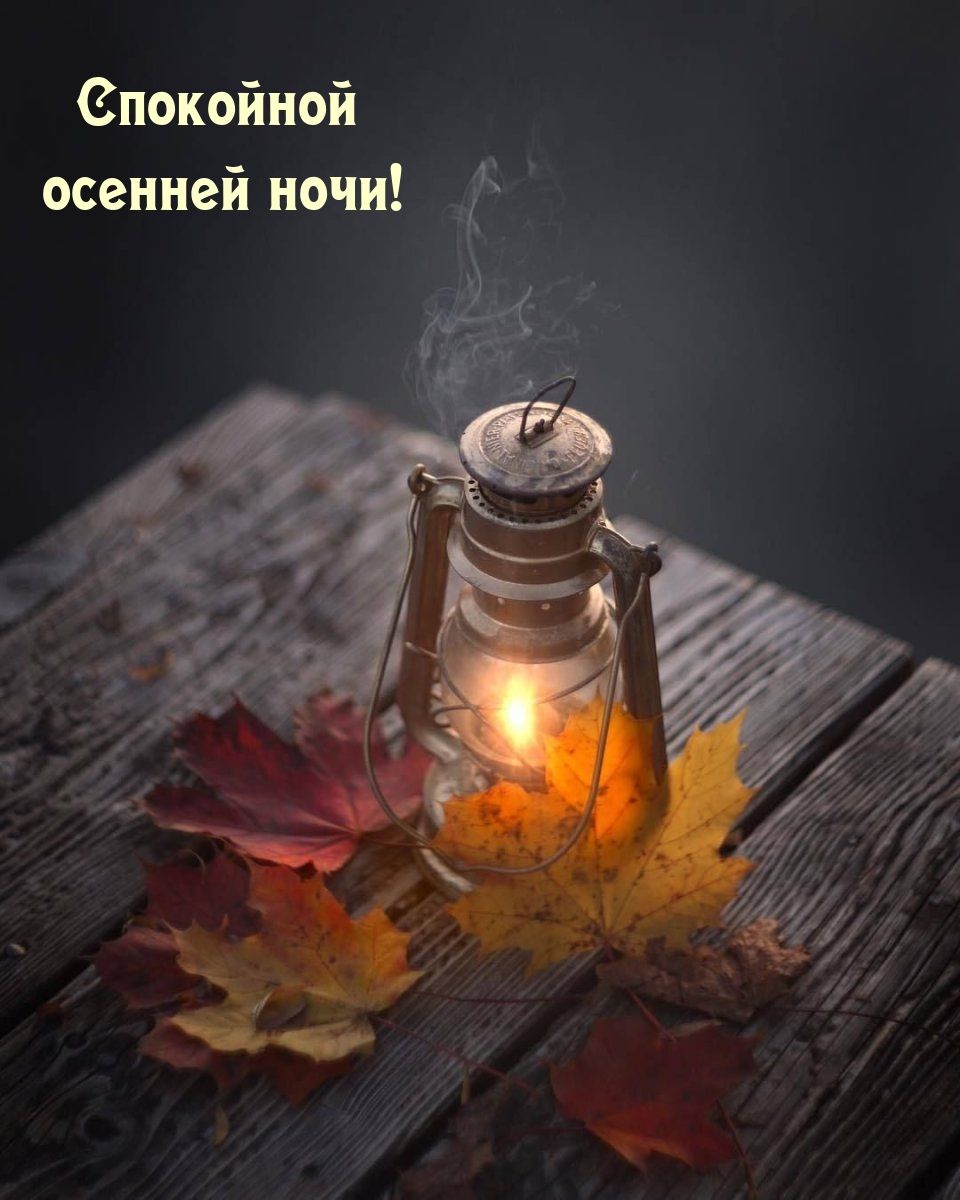 Открытка «Доброй ночи»: Спокойной осенней ночи: Уютный осенний вечер с фонарем. Тэги: Спокойной ночи, Спокойной ночи…