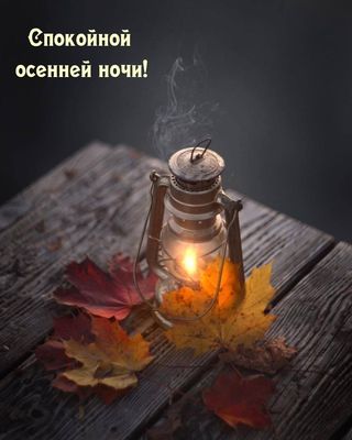 Открытка «Доброй ночи»: Спокойной осенней ночи: Уютный осенний вечер с фонарем. Тэги: Спокойной ночи, Спокойной ночи…