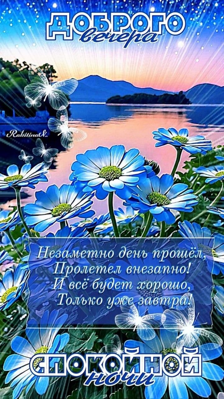 Открытка «Спокойной ночи»: Добрый вечер и спокойной ночи: цветы у озера. Тэги: Добрый вечер и пожелания, Добрый вечер…